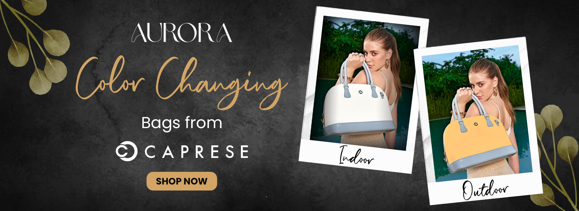 Aurora_Homepage-Banner_Desktop-with-CTA.jpg