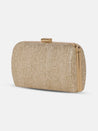 Caprese Party Teirra Box Clutch Medium Beige