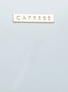 Caprese Holden Small Sling Solid Faux Leather For Women Powder Blue