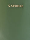 Caprese Lizzy Drawstring Sling Medium Olive