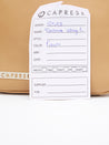 Caprese Tresna Embroidery Large Sling  Handbag Fawn