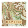 Caprese Brandi Wallet Medium Green