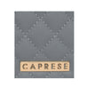 Caprese Andra Wallet Large Light Blue